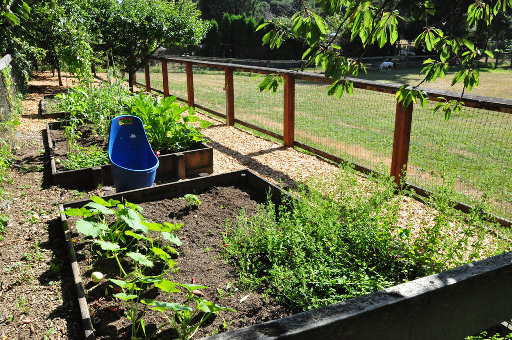 compost used in gardens