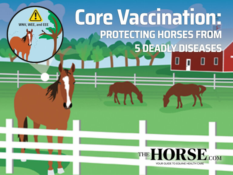 Core Vaccination