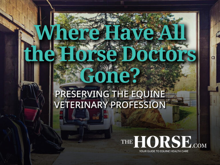 Where Have All the Horse Doctors Gone?