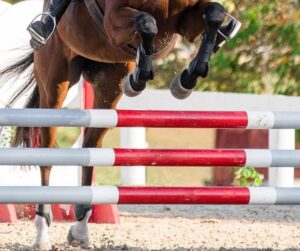 jumping
