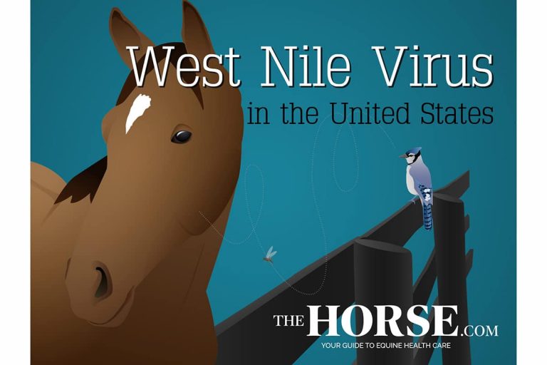 West Nile Virus in the United States